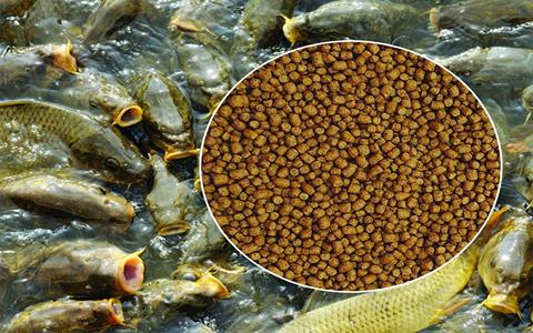 https://shp.aradbranding.com/قیمت غذا ماهی کپور با کیفیت ارزان + خرید عمده